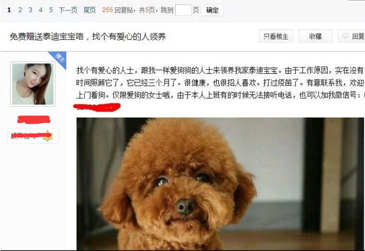 【网络营销干货】快速引流的方法与实战案例