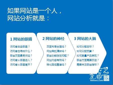 SEO网站分析